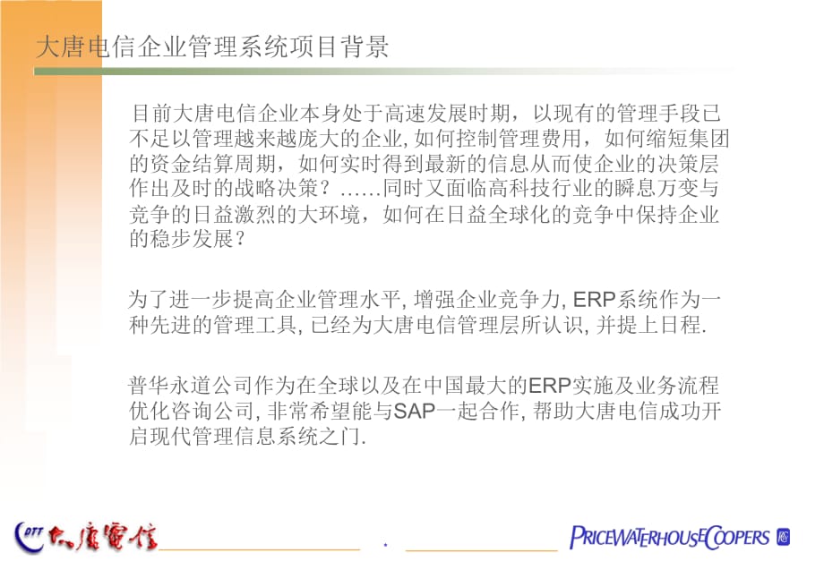 SAP文档_PWC给大唐电讯的SAP系统实施项目建议书_第4页