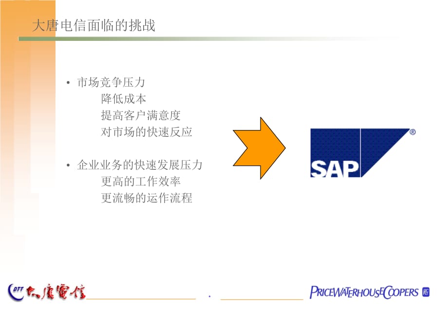 SAP文档_PWC给大唐电讯的SAP系统实施项目建议书_第5页