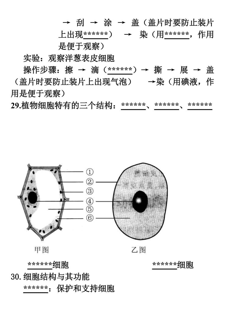 北师大版七年级生物上册-第三章-细胞-期末复习填空题_第5页