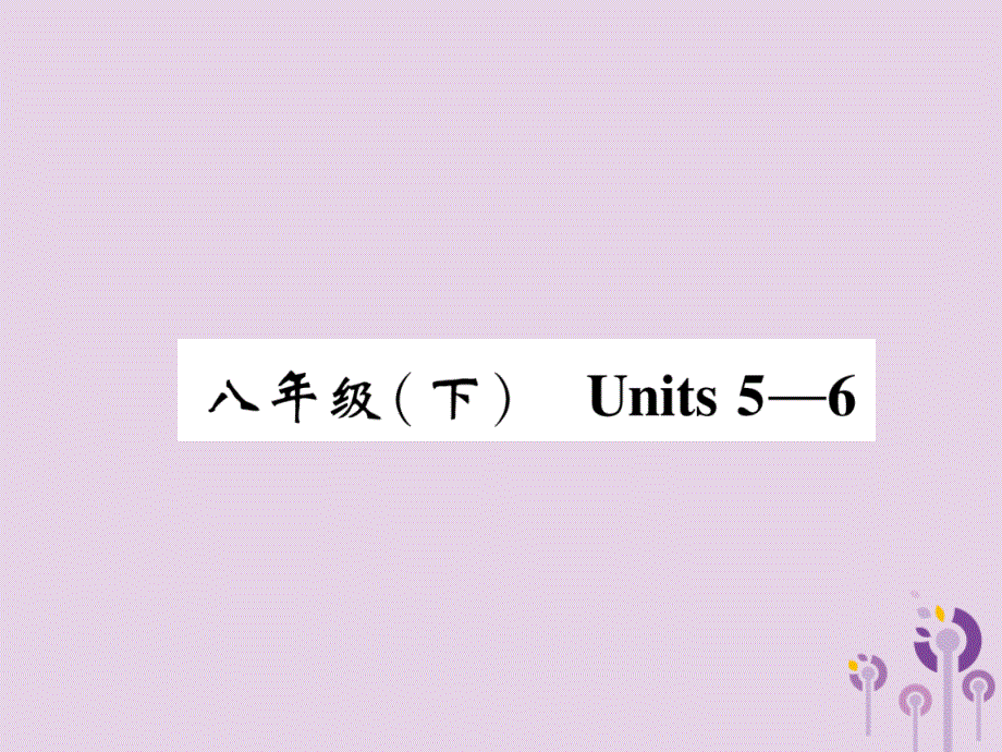 宜宾专中考英语总复习第一篇教材知识梳理篇八下Units56精讲.ppt_第1页