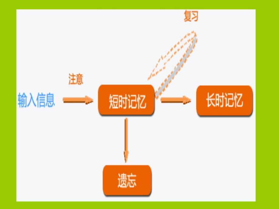 学生如何认识和应用艾宾浩斯遗忘曲线规律教案资料_第3页