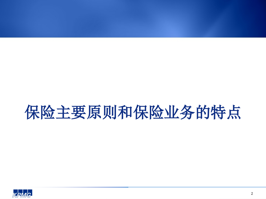 《精编》保险公司审计难点及其案例分析_第3页