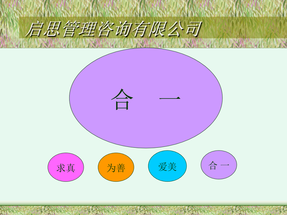 《精编》听策略大师谈策略管理_第2页