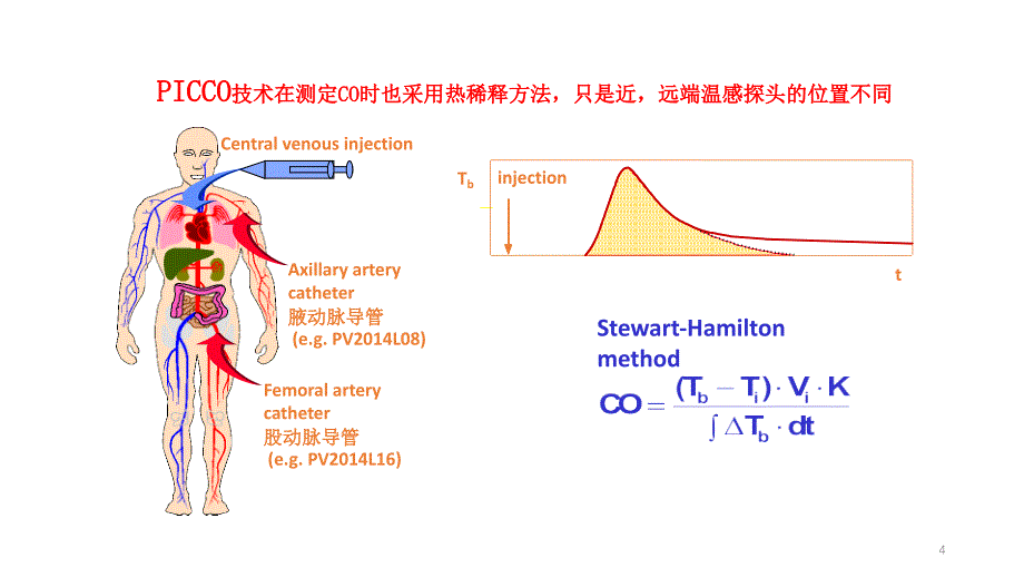 PICCO监测参数及其原理PPT幻灯片课件_第4页