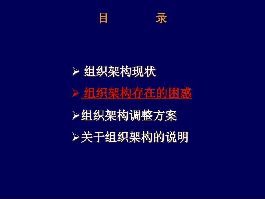 《精编》某集团组织架构策划方案分析_第5页