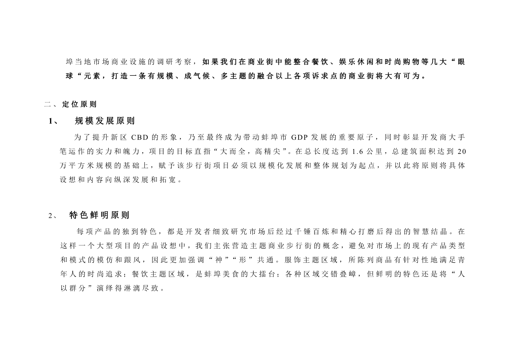 《精编》某商业街项目策划总案_第5页