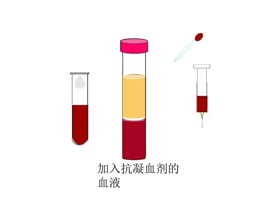 爱护心脏确保运输第1节物质运输的载体探究型课件_第5页