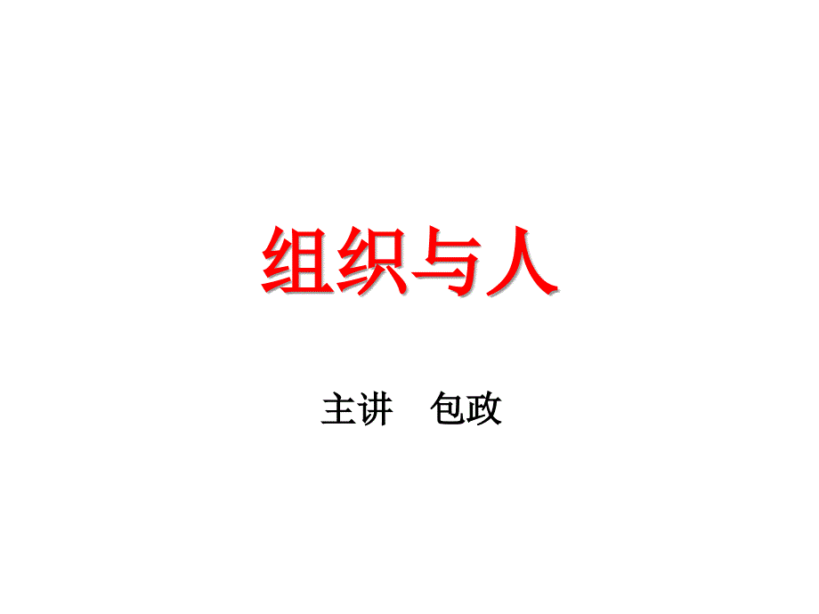 《精编》服装行业组织与人讲义_第1页