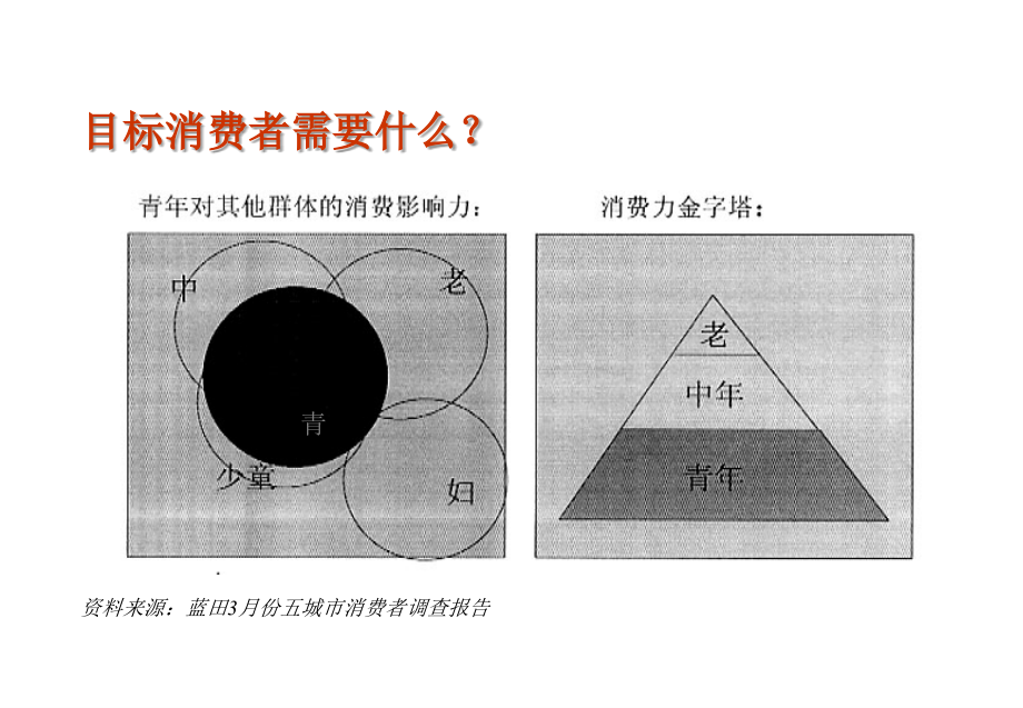 《精编》某品牌摩托上市策划_第3页