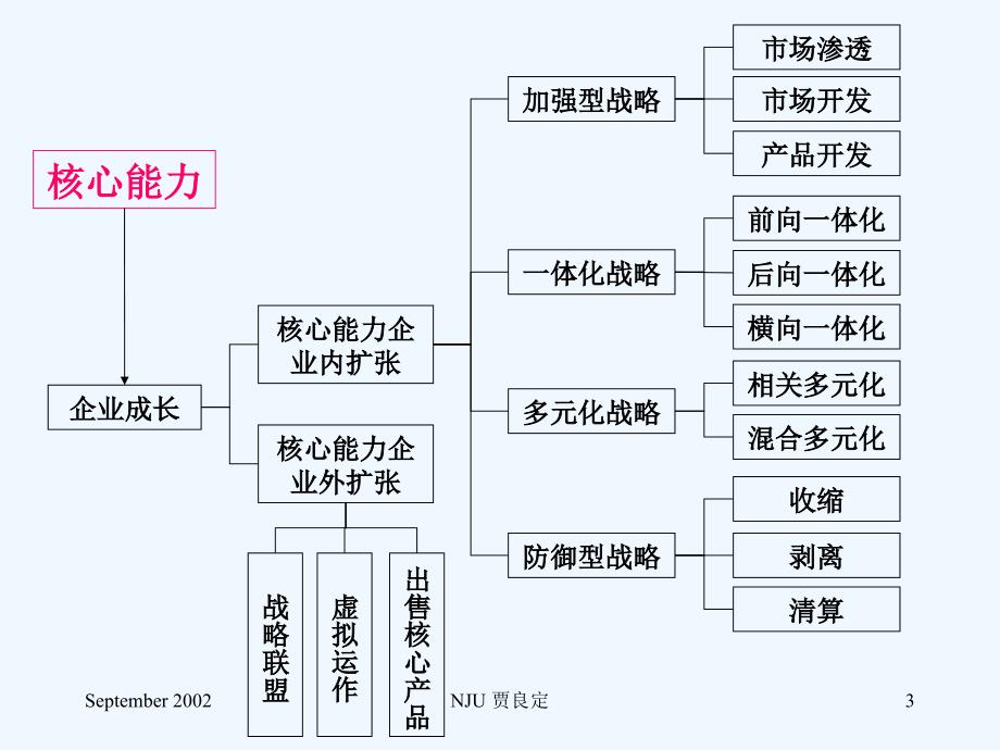 《精编》企业战略类型与选择原则_第3页