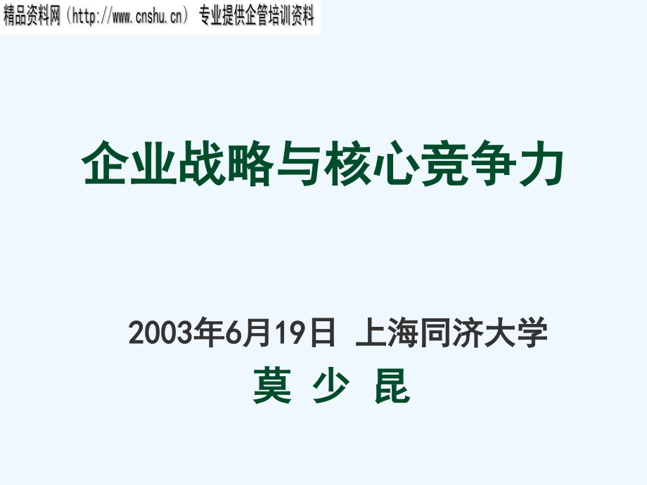 《精编》企业战略与核心竞争力研究报告_第1页