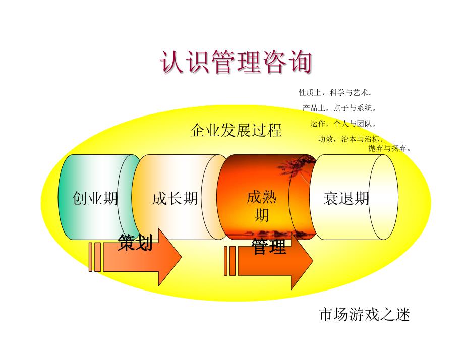 《精编》论家具行业管理顾问操作实务_第3页