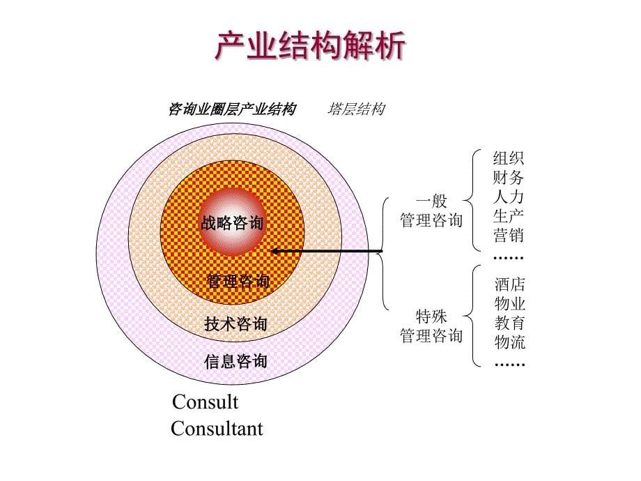 《精编》论家具行业管理顾问操作实务_第5页