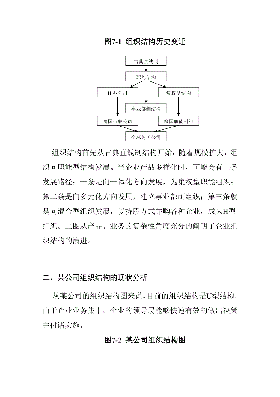 《精编》某公司组织结构的现状分析与变迁模式_第2页