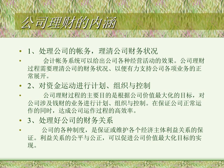 《精编》公司理财之业绩与报酬问题_第2页