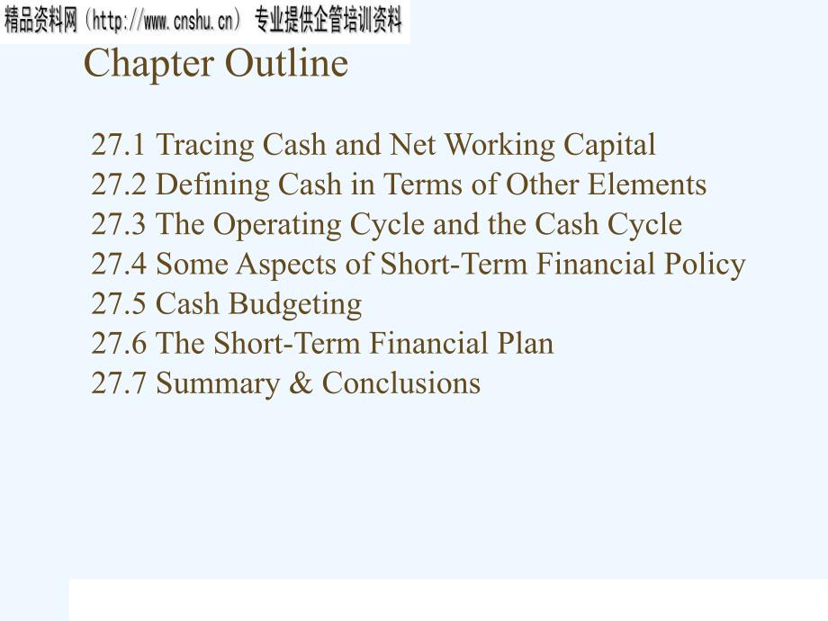 《精编》短期财务与计划方案分析（英文版）_第1页