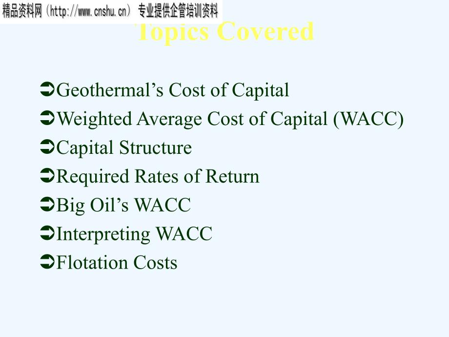 《精编》The Cost of Capital_第2页