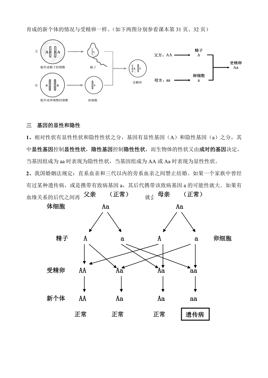 八下生物复习资料.doc_第4页