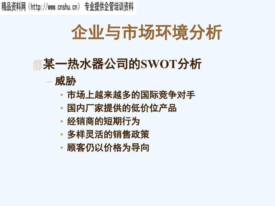 《精编》消费者购买行为分析与市场环境分析_第5页