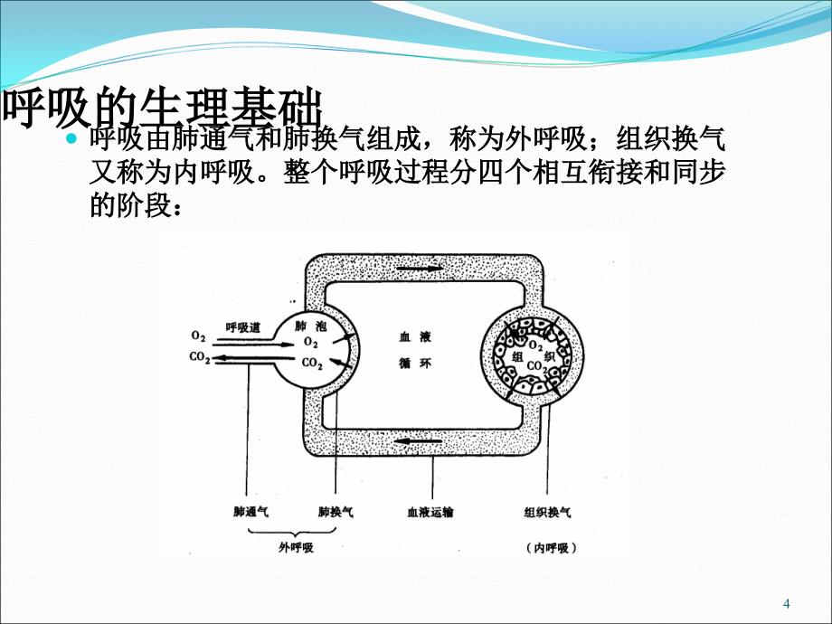 呼吸功能锻炼PPT幻灯片课件_第4页