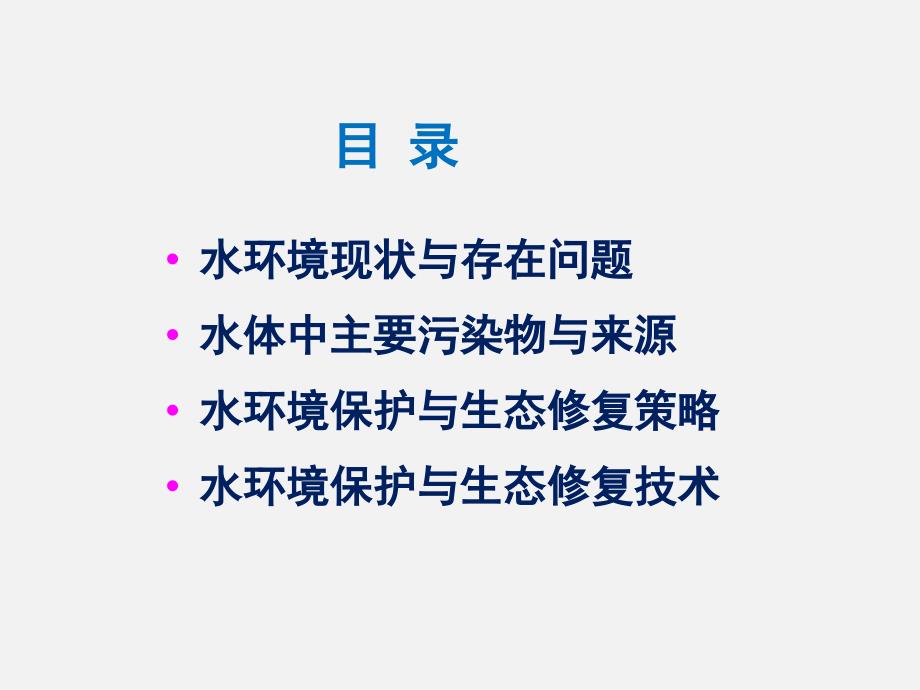 水污染治理及生态修复PPT幻灯片课件_第2页