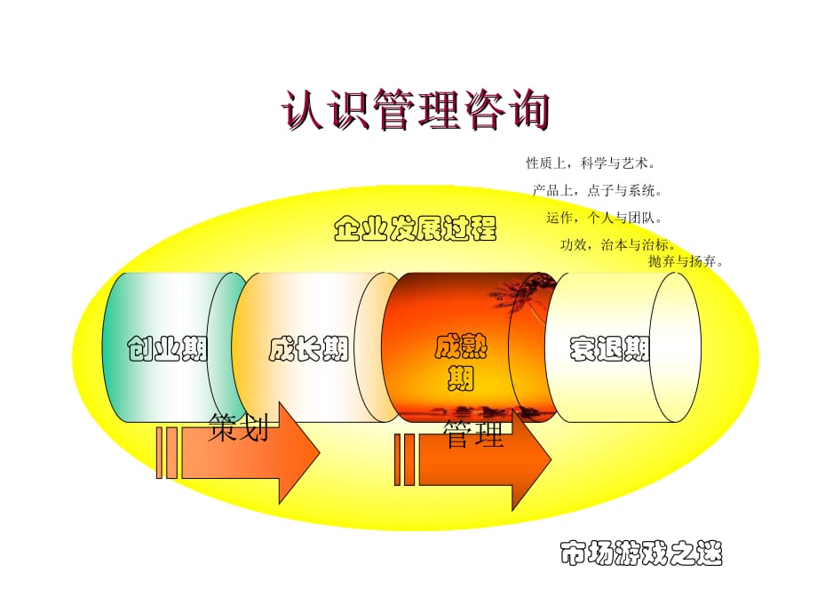 《精编》浅析服装行业管理顾问操作实务_第3页