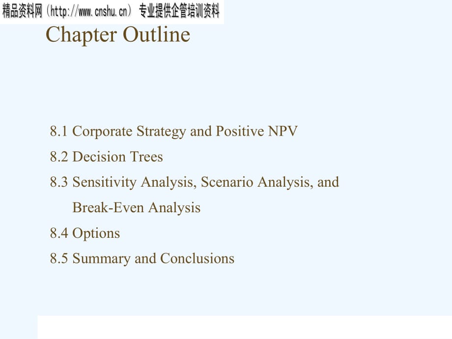 《精编》公司战略和净现值分析报告（英文版）_第1页