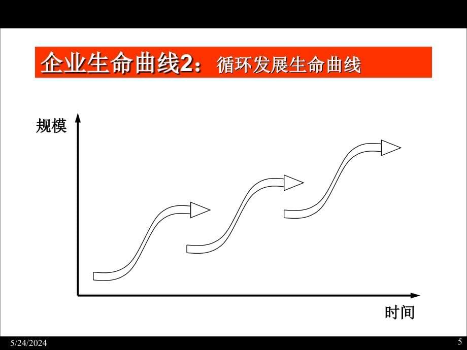 《精编》企业战略动态选择及其实施_第5页