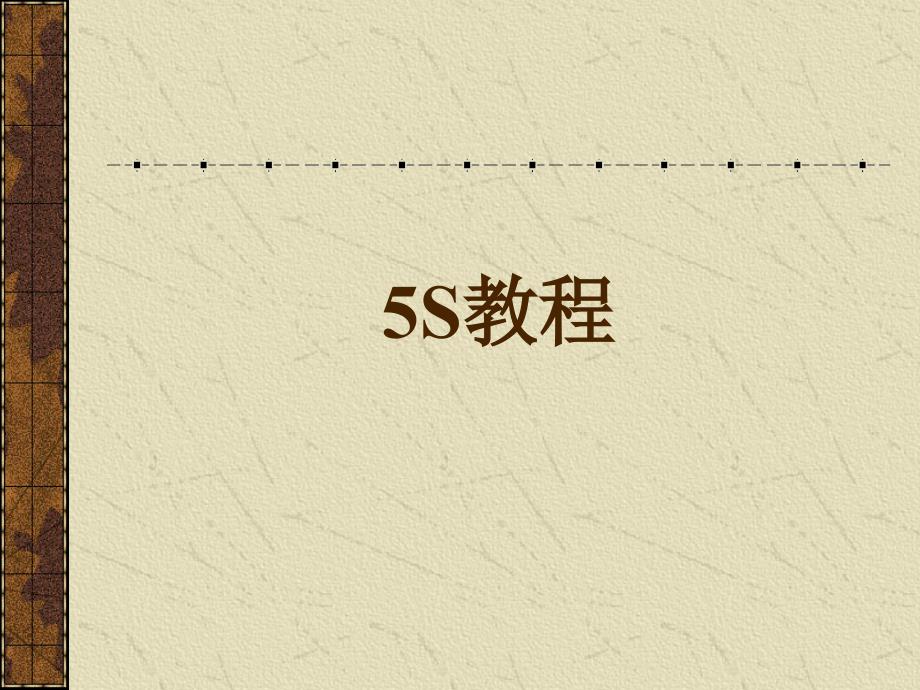 《精编》5S活动推行步骤与作用_第1页