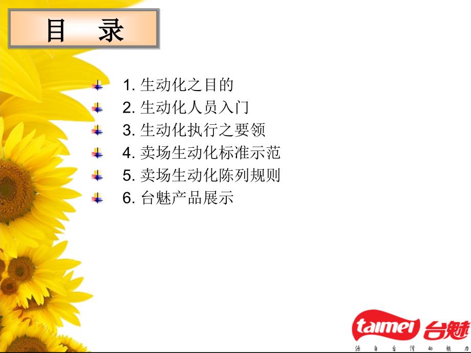 《精编》某商品生动化陈列手册_第2页