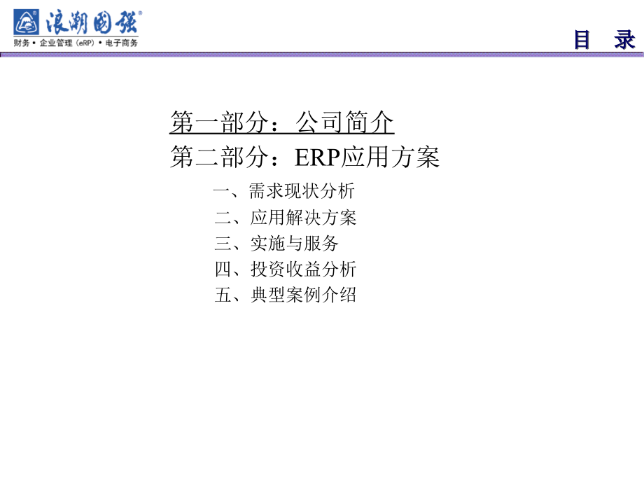 《精编》集团企业的ERP应用方案_第2页