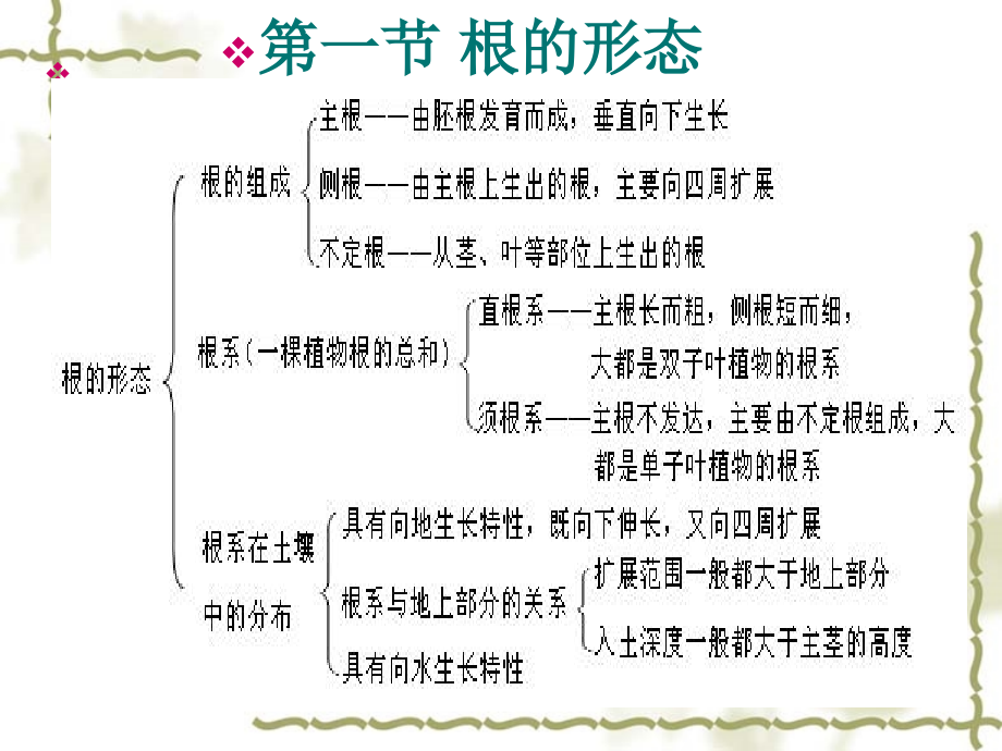 植物学基础知识上课讲义_第2页