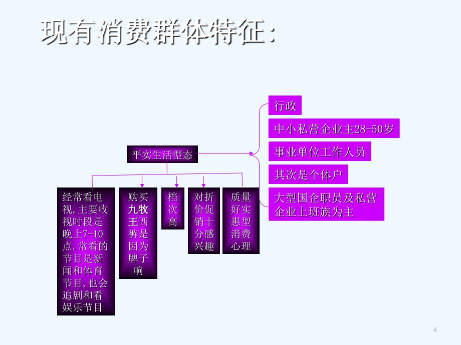 《精编》王年度品牌策略与广告计划研讨会_第4页