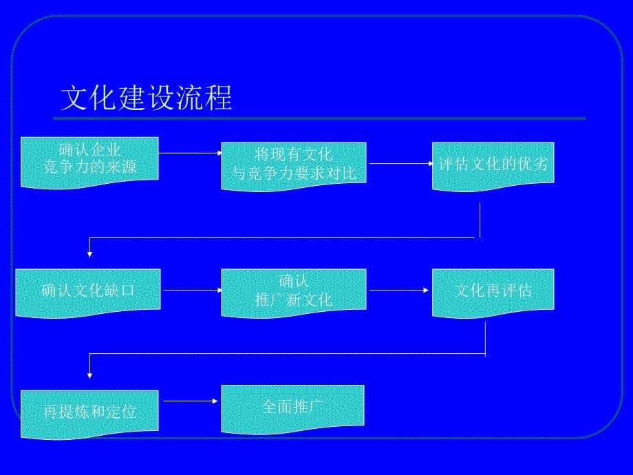 《精编》中国电信文化诊断计划书_第5页