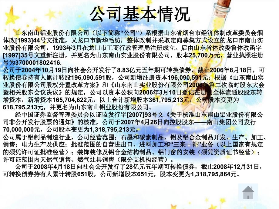 《精编》山东某铝业财务分析报告_第4页