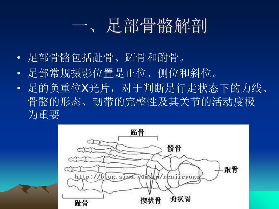 足踝部X线检查讲解学习_第2页