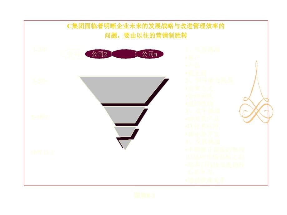 《精编》医疗企业项目与组织结构分析_第5页