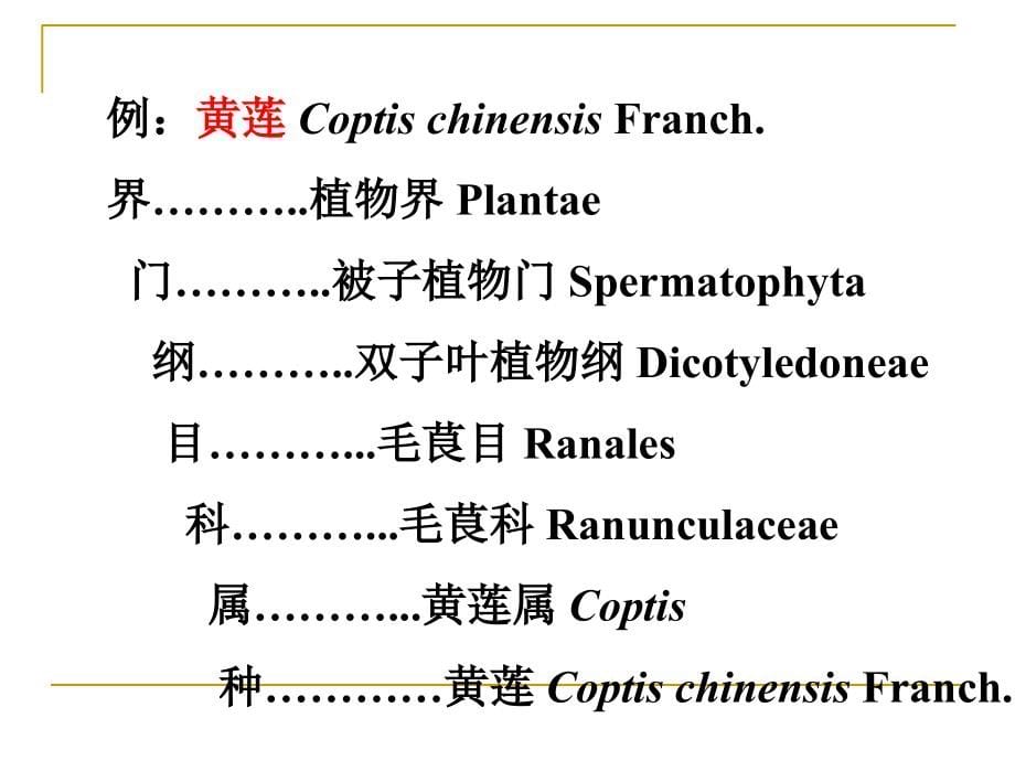 植物分类学-植物系统与分类基础知识教学内容_第5页