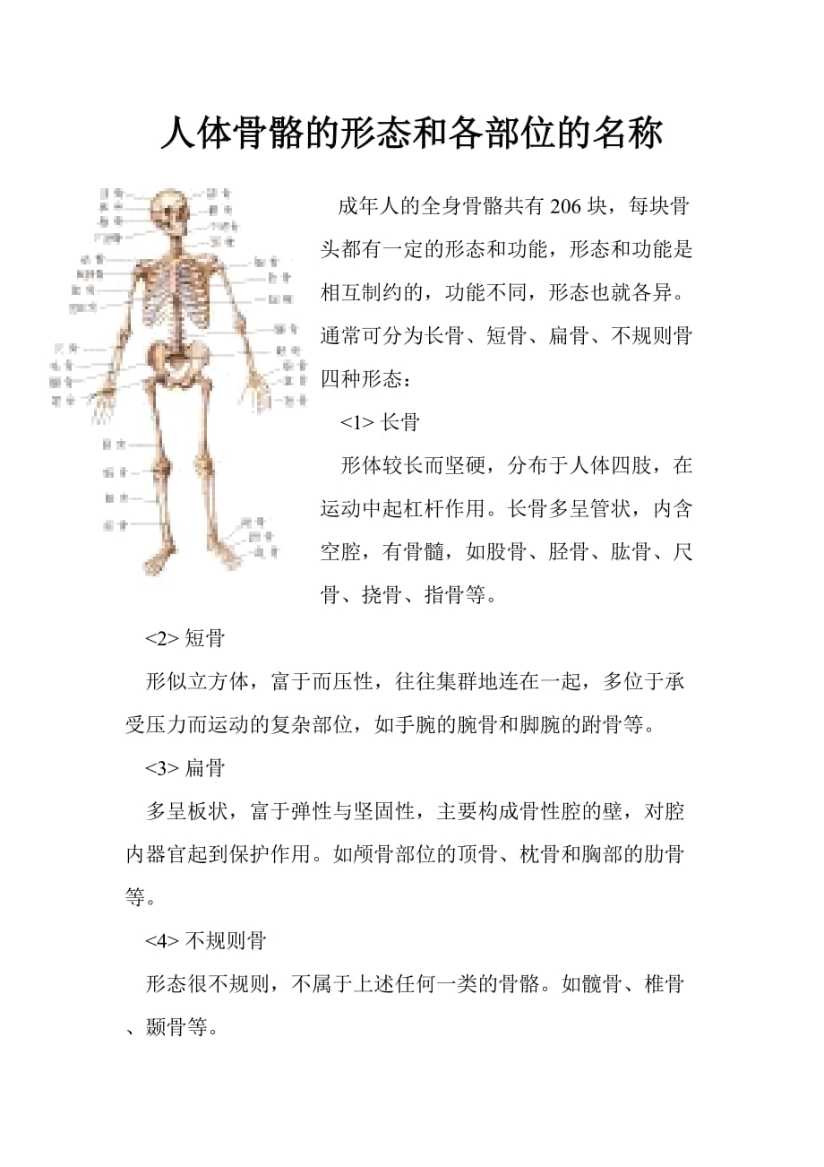 人体骨骼的形态和各部位的名称.doc_第1页