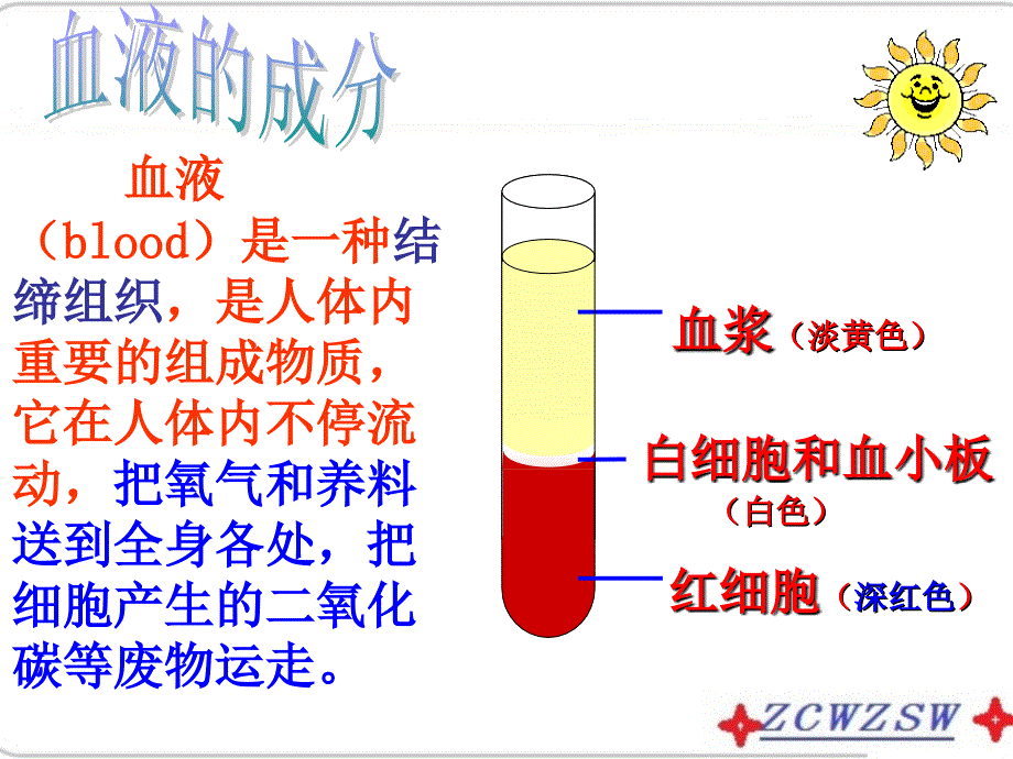 济南版七年级下册新第三单元第三章人体内的物质运输复习课件_第2页