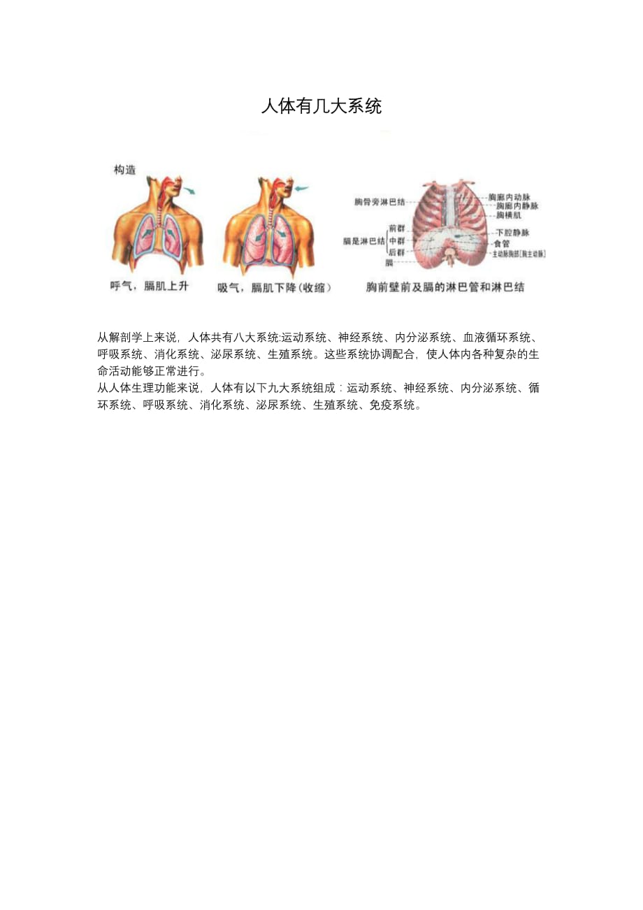 人体有几大系统.doc_第1页