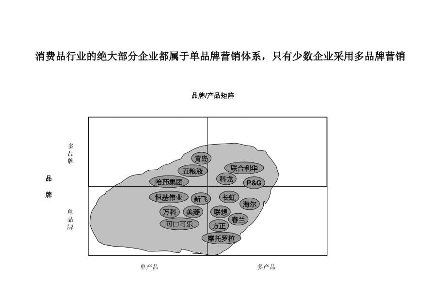 《精编》企业营销组织结构设计方案分析_第5页