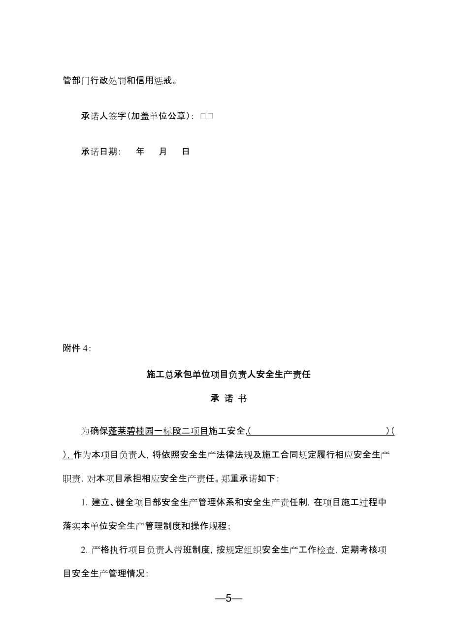 “两承诺一公示”示例.doc_第5页