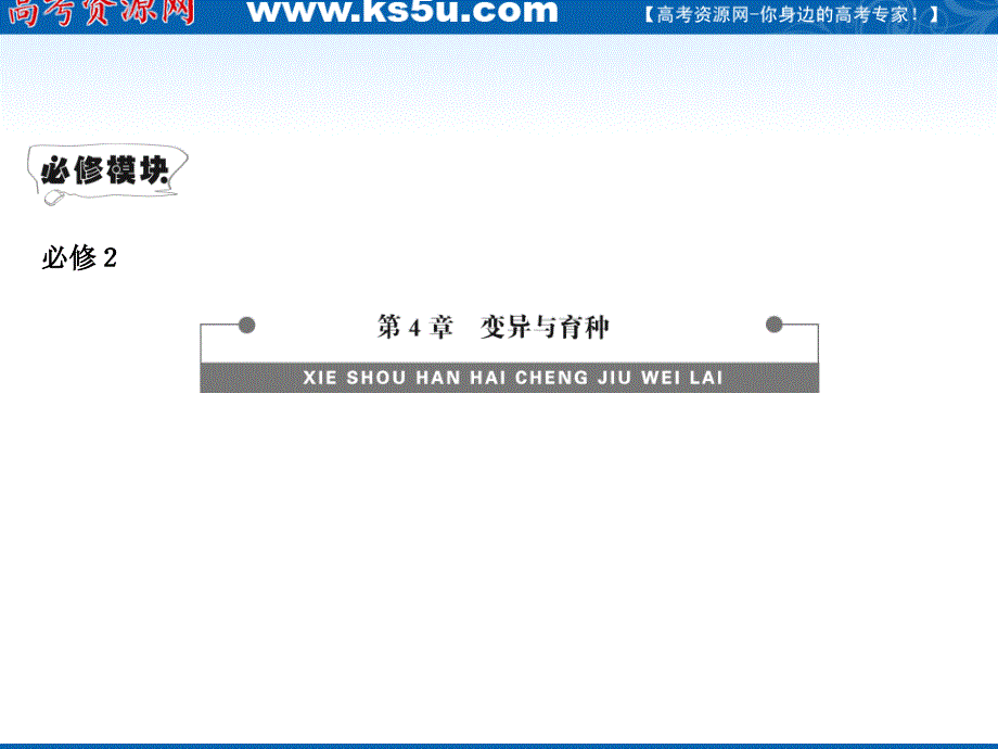 2012高三生物复习课件（导与练）人教版：必修2 4-4从杂交育种到基因工程.ppt_第1页