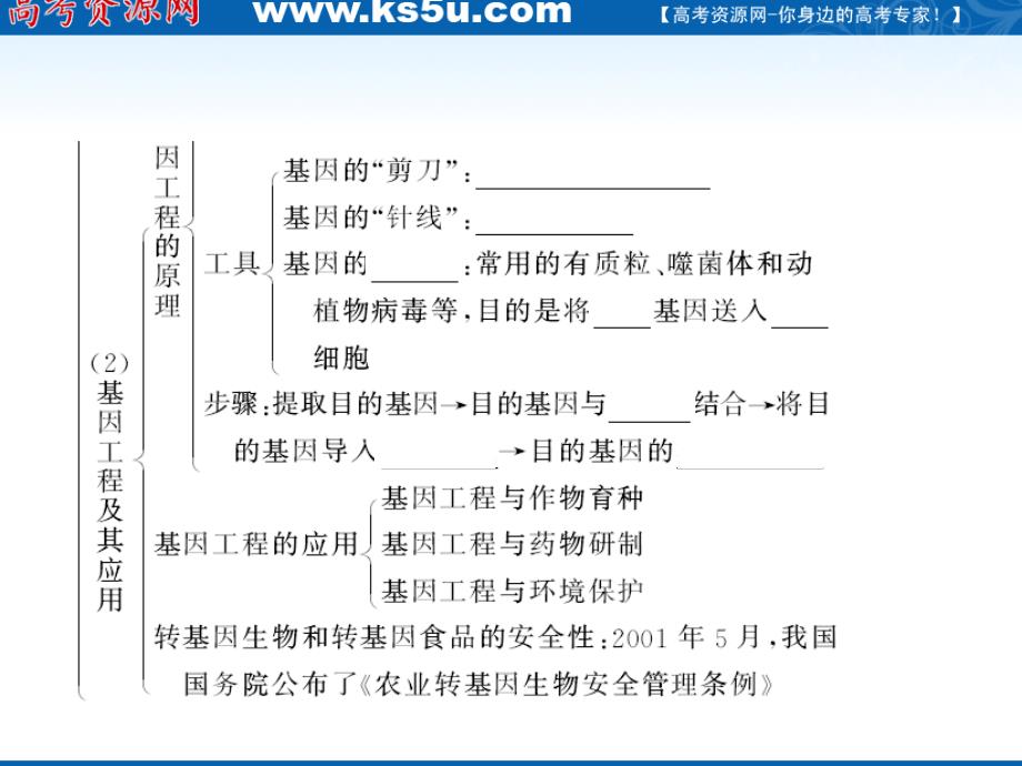 2012高三生物复习课件（导与练）人教版：必修2 4-4从杂交育种到基因工程.ppt_第4页