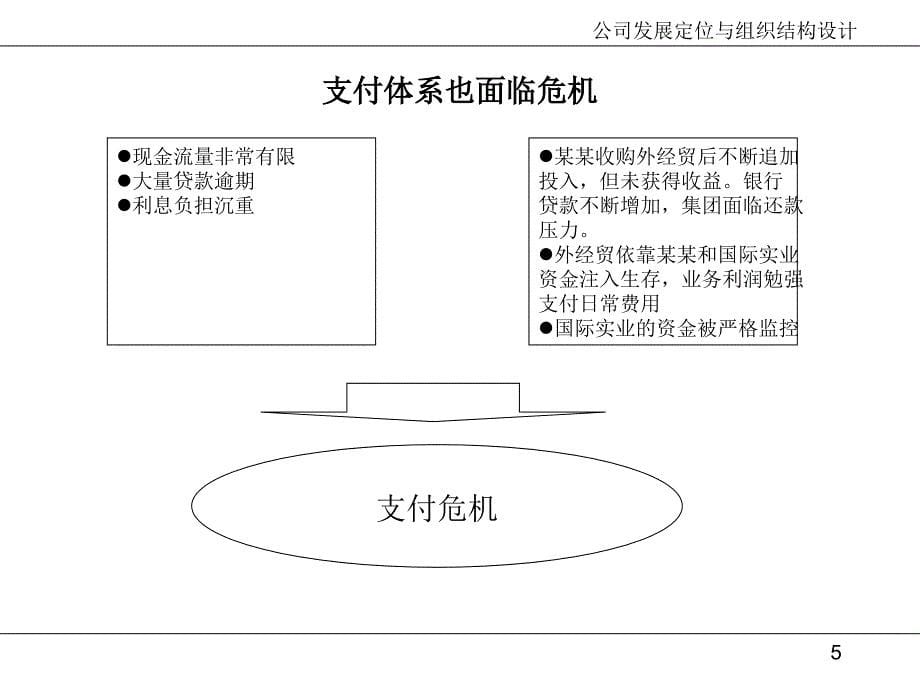 《精编》公司经营中面临三种危机_第5页