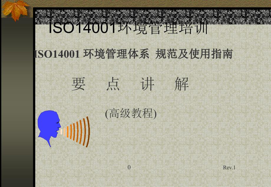 《精编》ISO14001环境管理体系要求_第1页