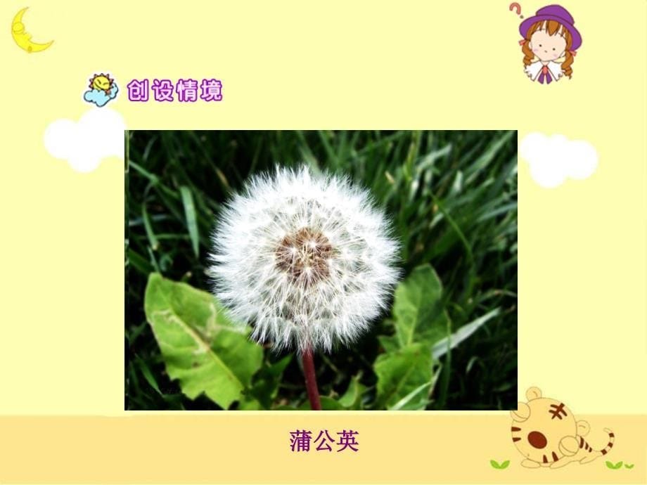 苏教版小学三年级语文上册《蒲公英》参考课件_第5页