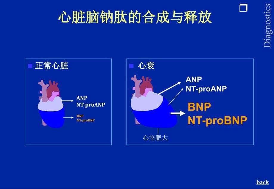 NTPROBNP-临床应用进展_第5页