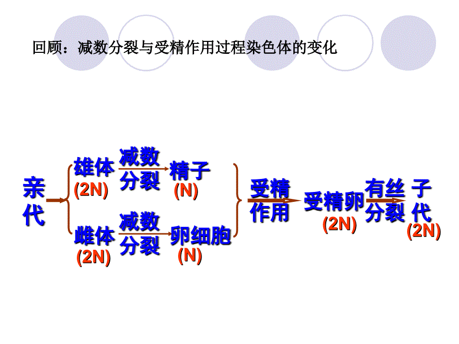 广东省惠东县平海中学生物(人教版)必修二：3.1-DNA是主要的遗传物质_第2页